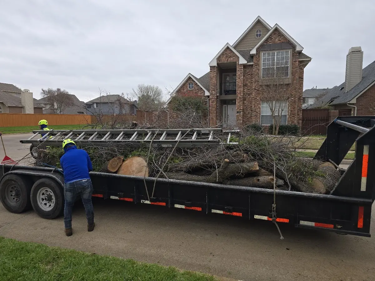 Expert Tree Fertilization with proper safety equipment in Richland